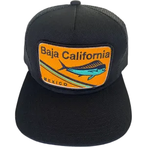 Baja California Trucker