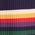 Spirited Spectrums Skirt
