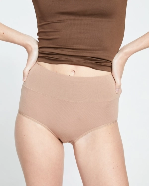 UltimateS Full Coverage High Rise Brief - Spice
