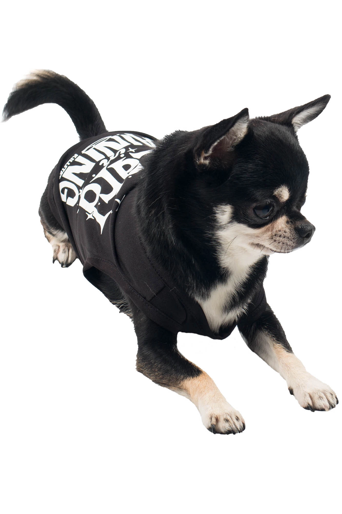 Wizard In Training Pet Vest - Resurrect