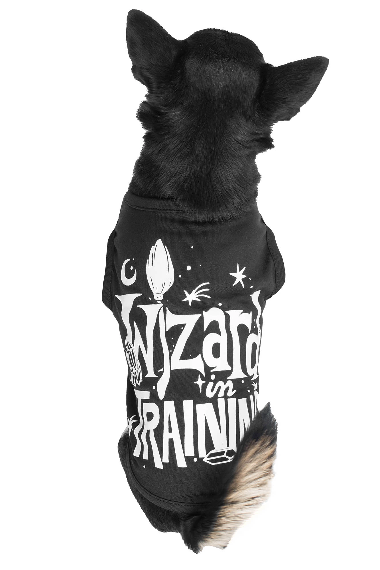 Wizard In Training Pet Vest - Resurrect